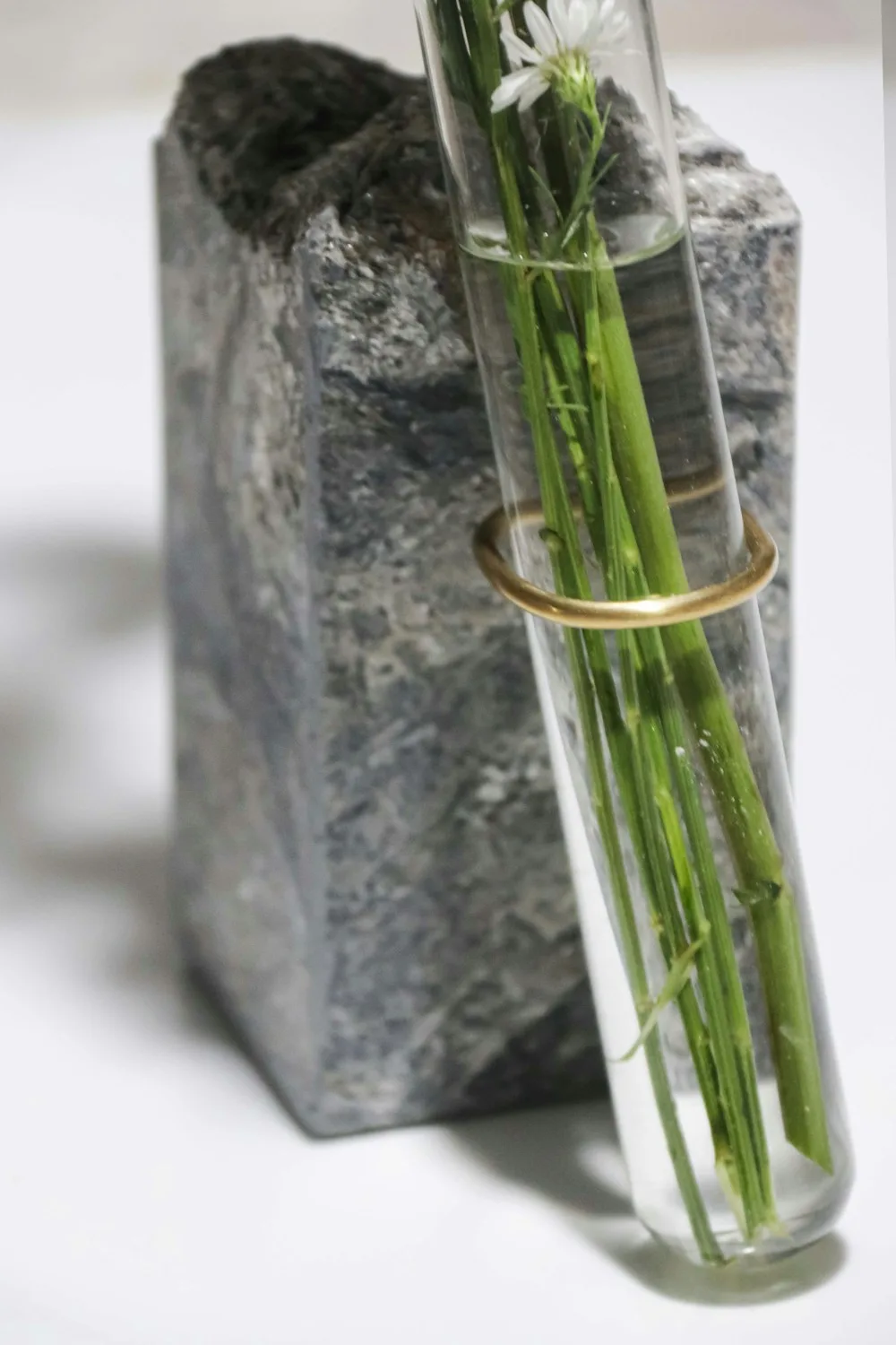 Green stems in a glass tube against a stone block